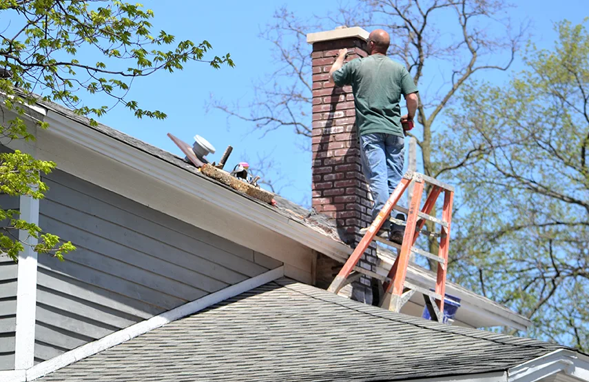 Chimney & Fireplace Inspections Services in Bartlett, TN